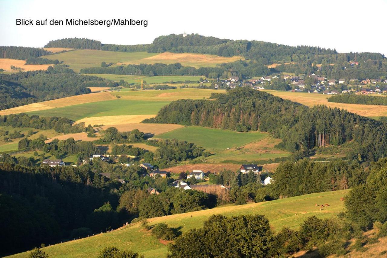 Appartamento Wohlfuehloase Am Michelsberg Bad Muenstereifel Esterno foto