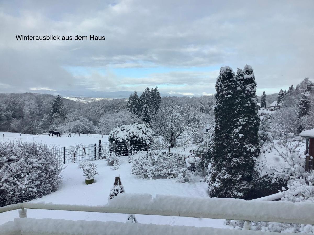 Appartamento Wohlfuehloase Am Michelsberg Bad Muenstereifel Esterno foto