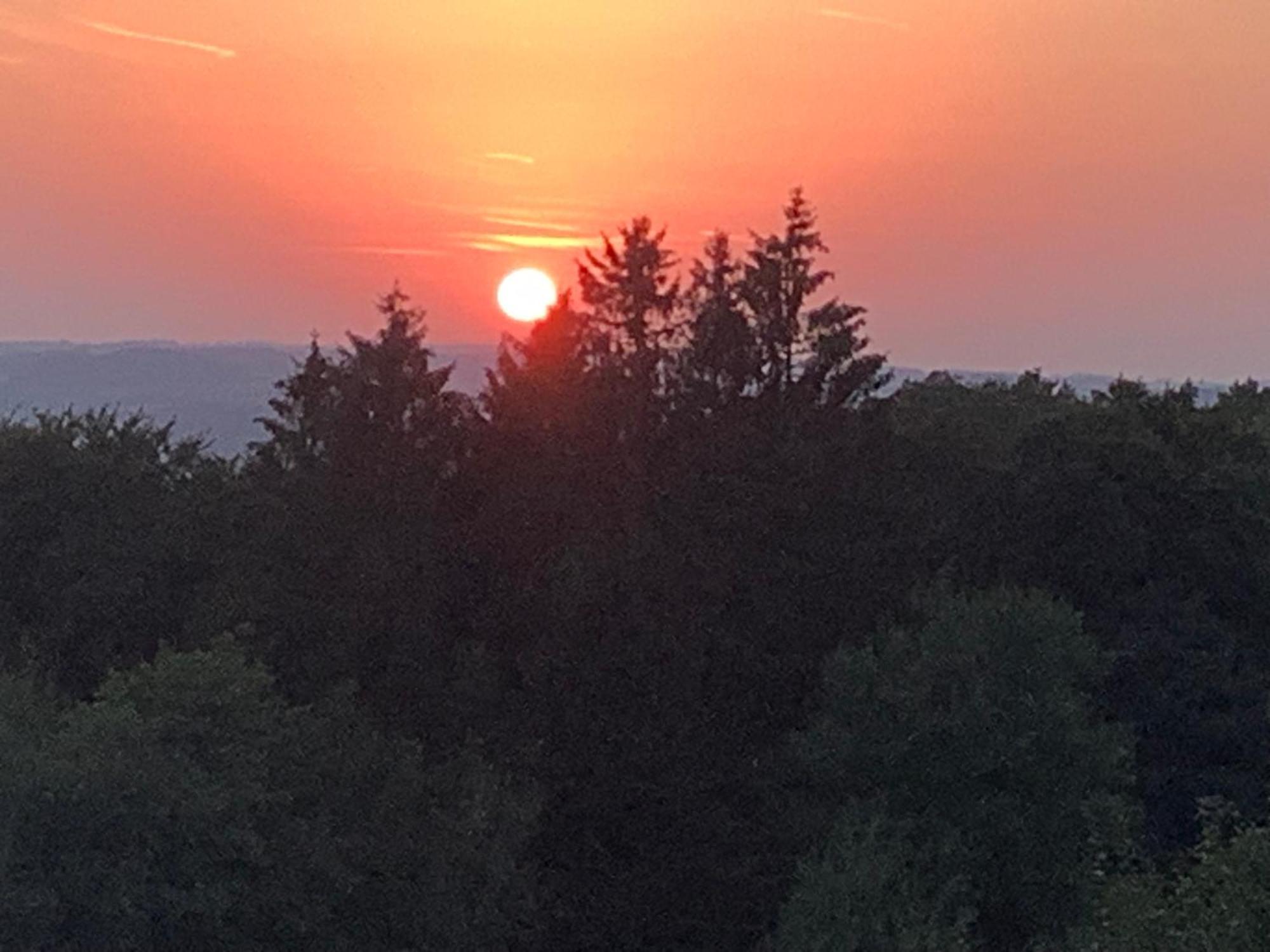 Appartamento Wohlfuehloase Am Michelsberg Bad Muenstereifel Esterno foto